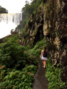 Iguazu falls, Argentina, Nature