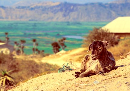 Benguela, Angola photo