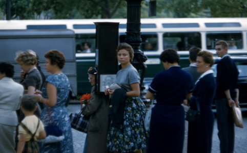 Group, Crowd, Woman photo