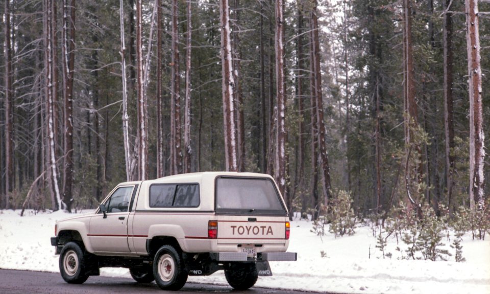 Truck, Trees, Vintage