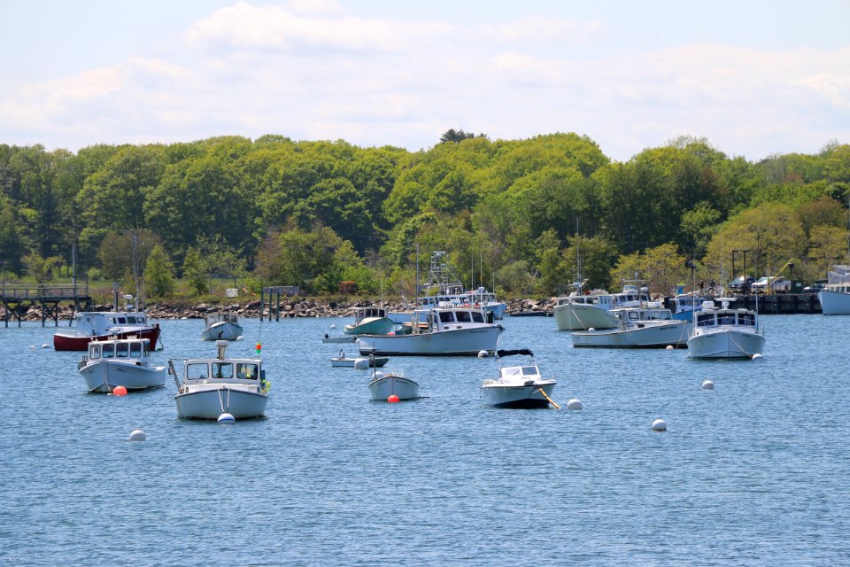 Rye, United states, Ocean