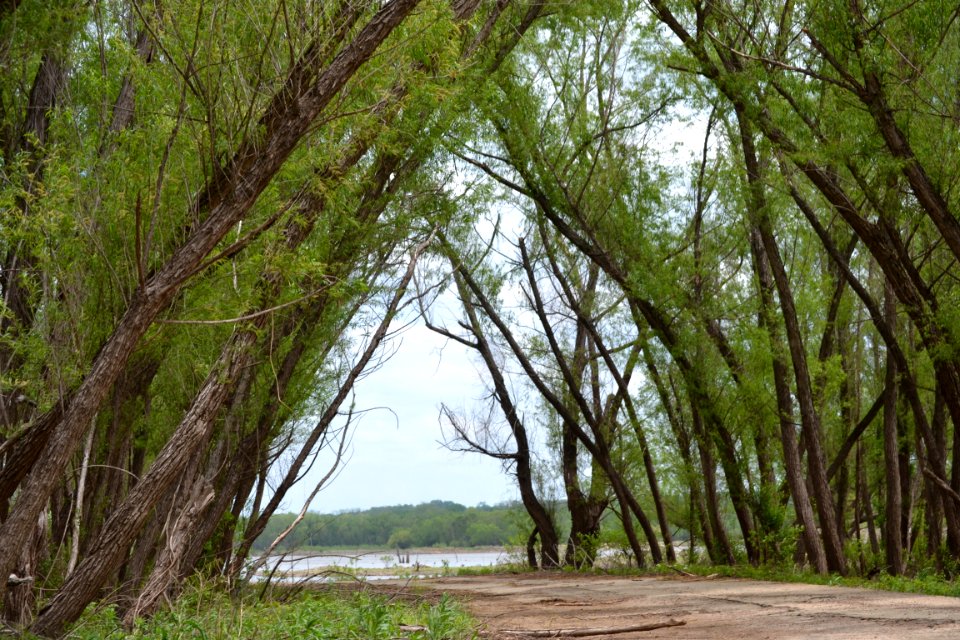 Osceola, United states, Lake