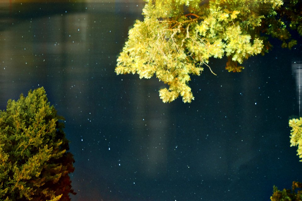 Starlight, Dark, Exposure