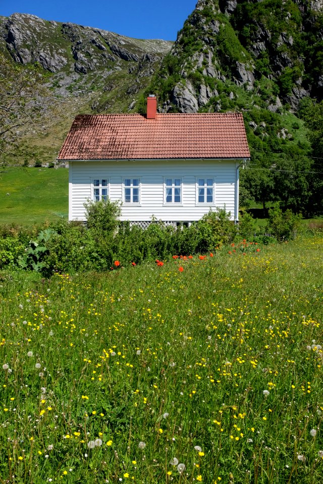 Old, Green, Garden