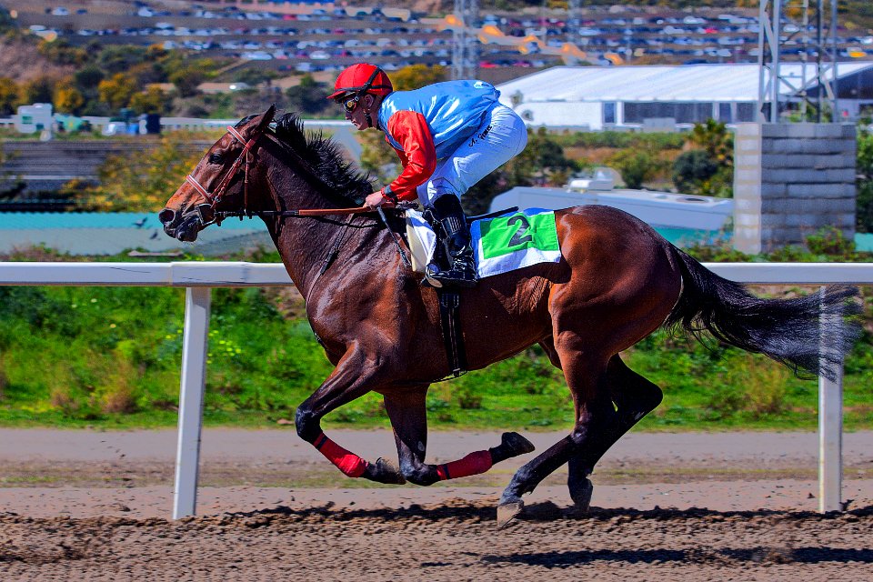 Hipodromo costa del sol, Las lagunas de mijas, Spain