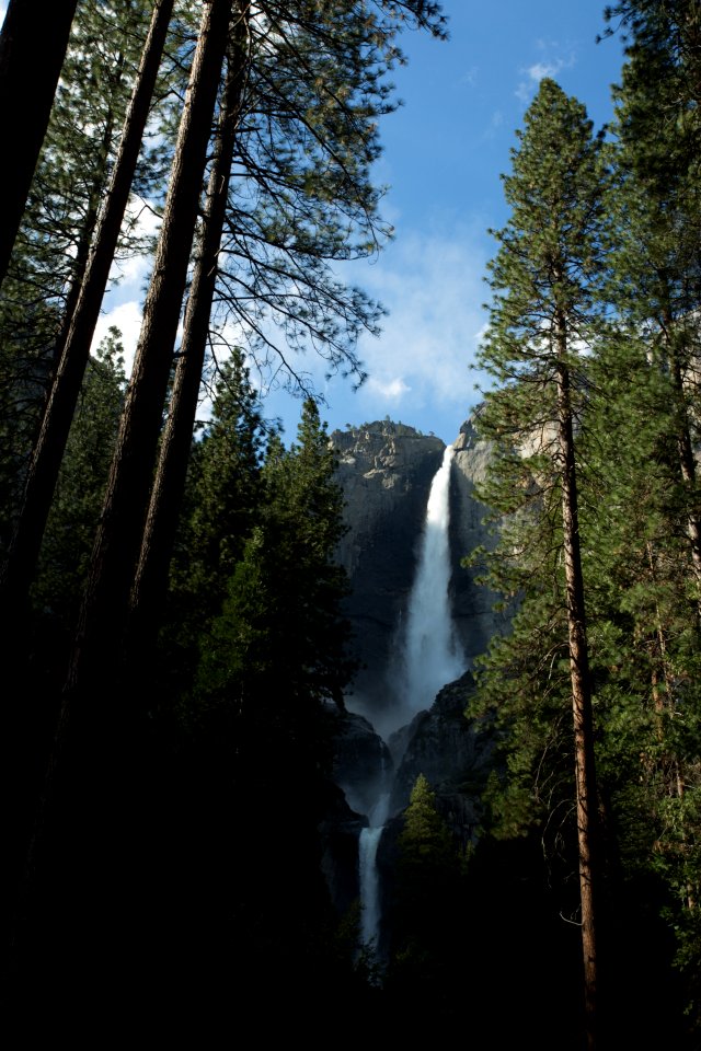 Nature, Outdoors, Outside