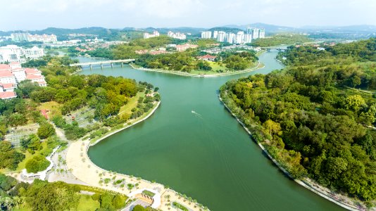 aerial view of trees beside buildings photo