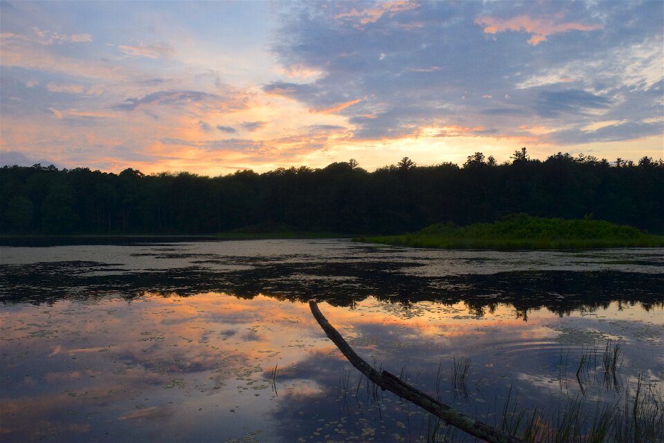 Reflection evening nature