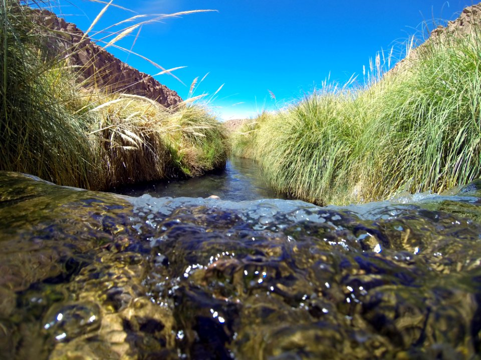 Termas de puritama, Guatin, Chile