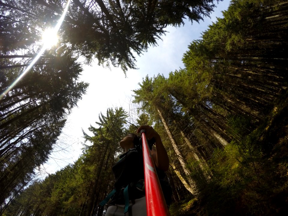 Carpathian mountains