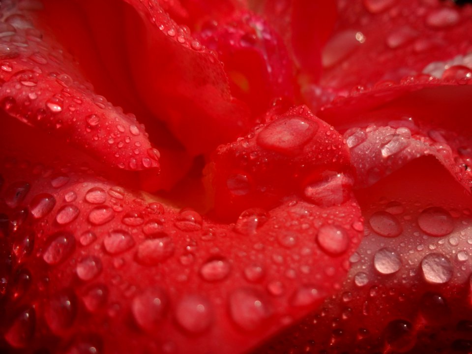 United kingdom, Condensation