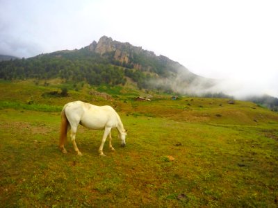 Masuleh, Iran, Hut