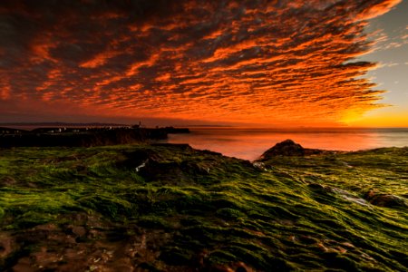 Goleta beach park, Goleta, United states