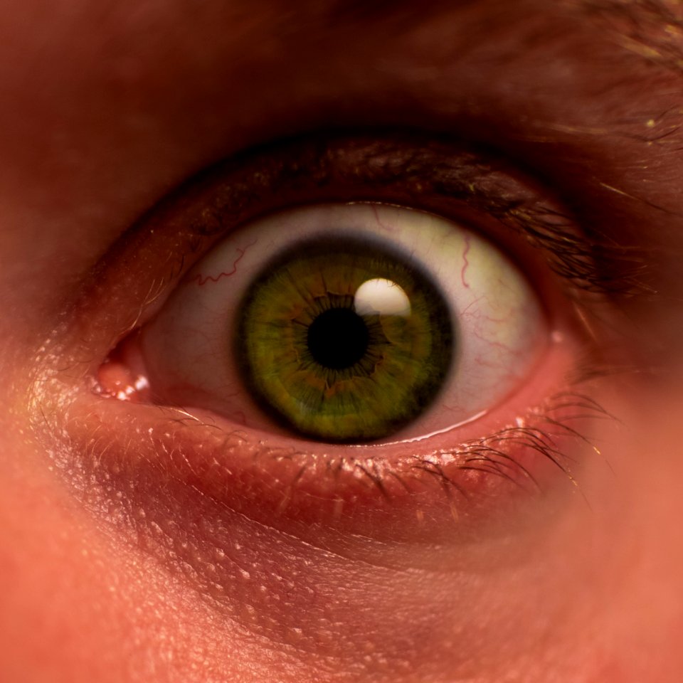 Horror, Stare, Terror