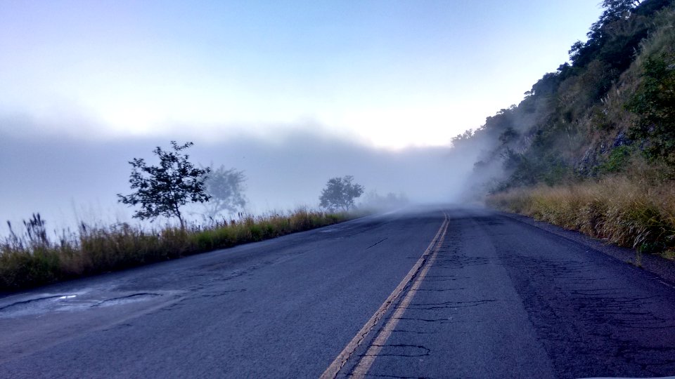Goio  n, Brazil, Scape