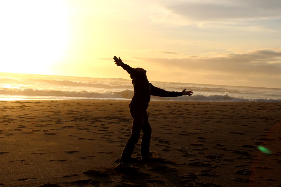 Colors, Bodega bay, United states