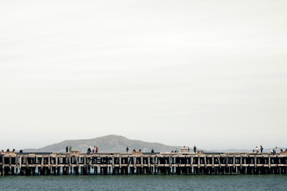 photography of concrete bridge near the body of water