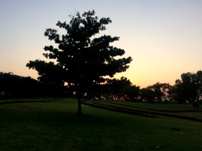 Manipal, India, Grass