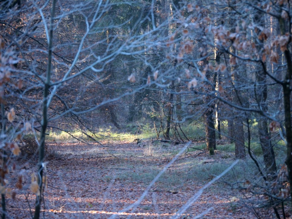 Klaterweg 7, Doornspijk, Netherl