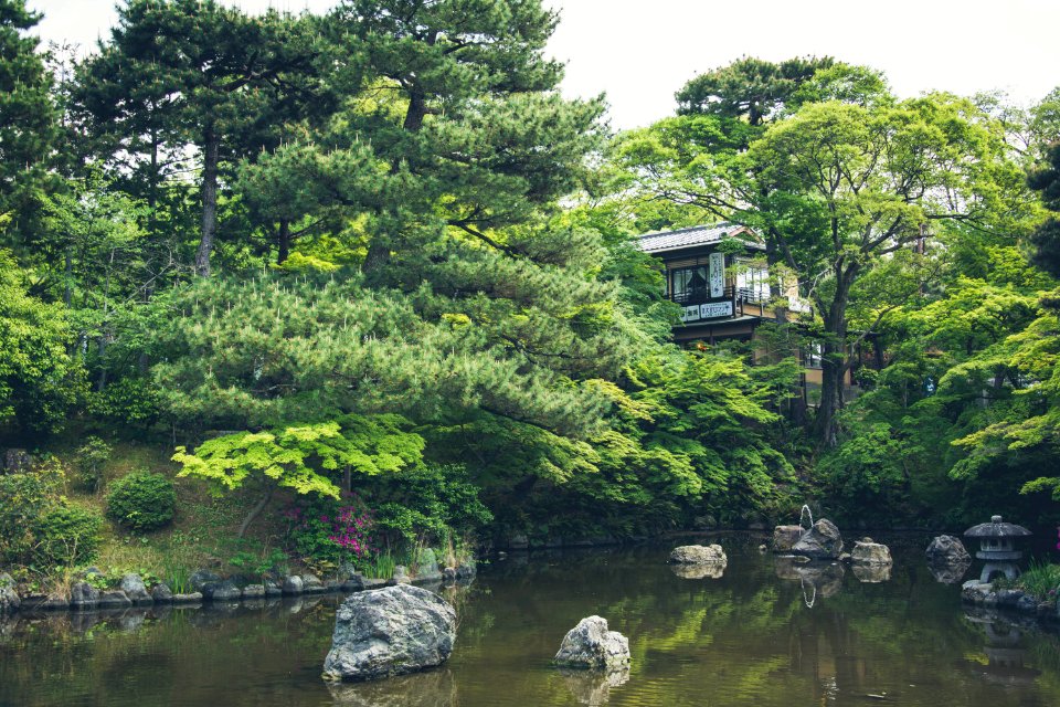 house near trees and body of water photo