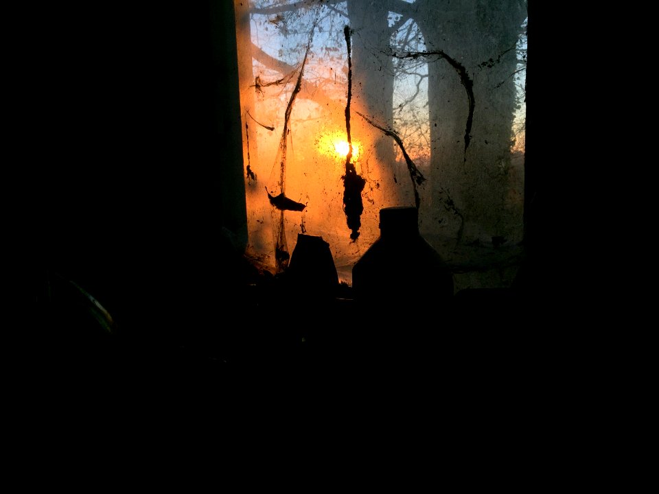 Erica, Netherland, Sun sunset red orange autumn dark spider stuff garage