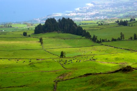 Azores, Portugal, Ocean
