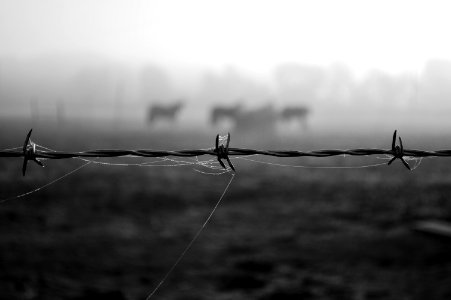 Sterlington, United states, Farm