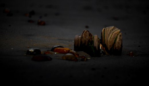 pebbles at sand dunes