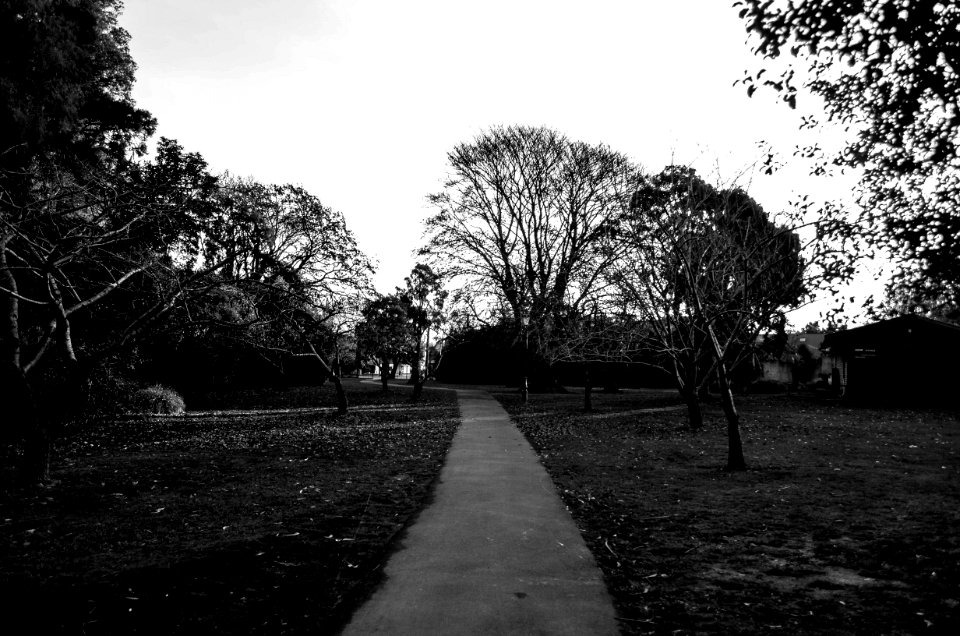 Riccarton, Christchurch, New zeal