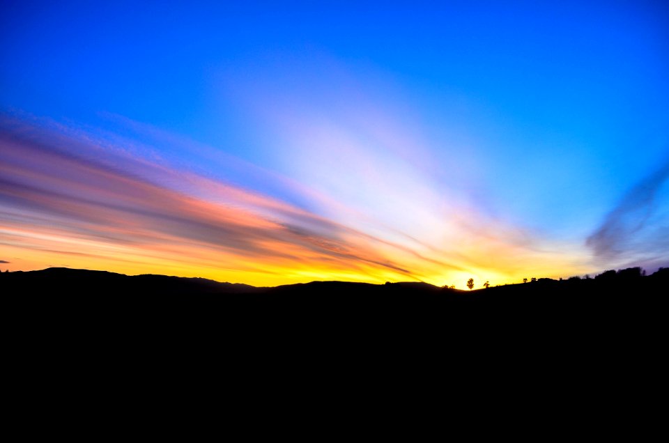 Nature, Dunedin, New zeal