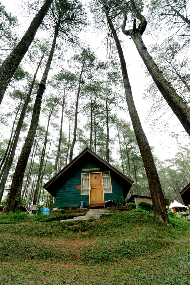 Ung, Indonesia, Nature