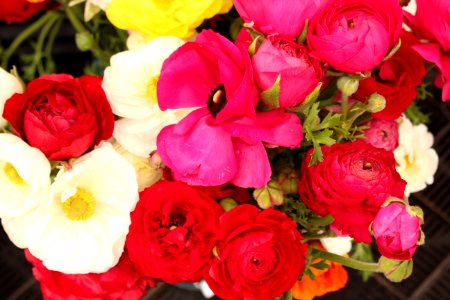 Santa monica, United states, Farmers market