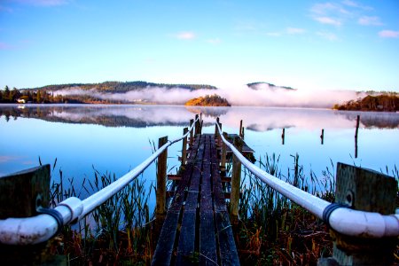 Dock, Island, Forest