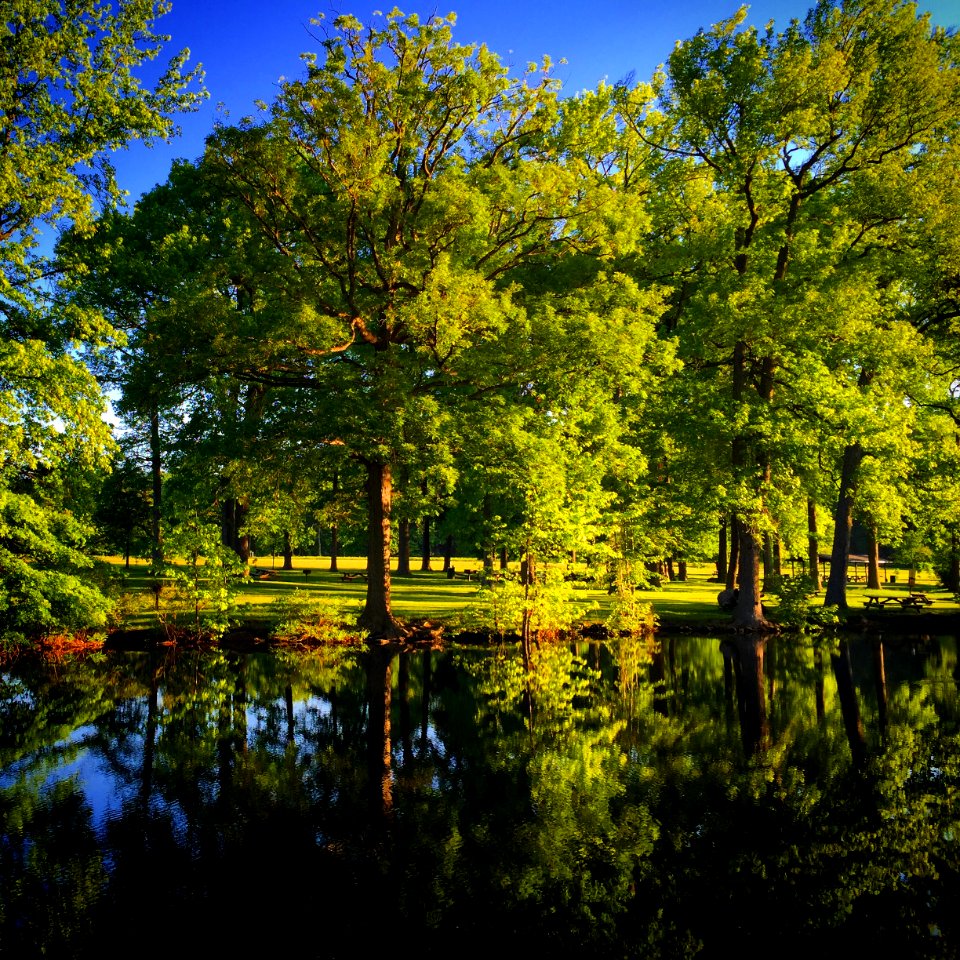 Wilmington, Delaware, United states