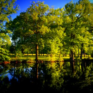 Wilmington, Delaware, United states