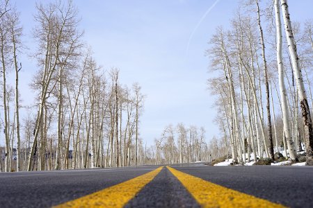 O forest, Richfield, United states