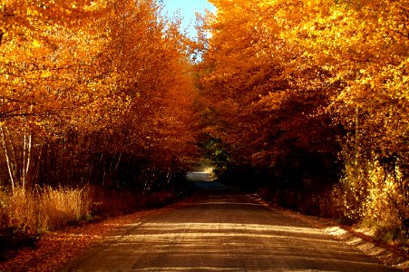 El bolsn, Argentina, Yellow