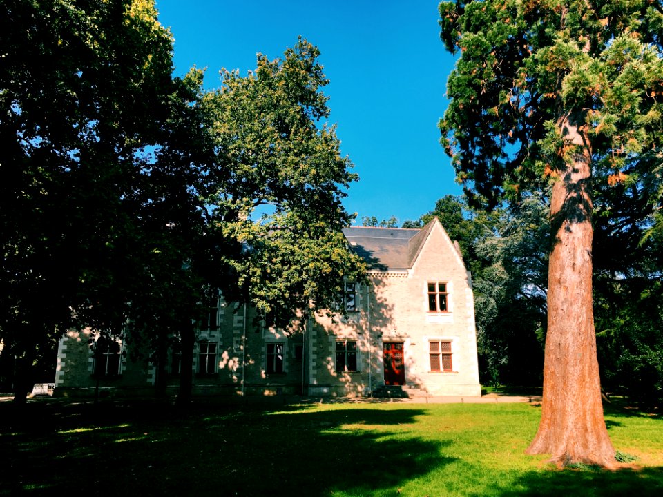 wooden house near green field surrounded with tall and green trees