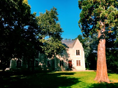 wooden house near green field surrounded with tall and green trees