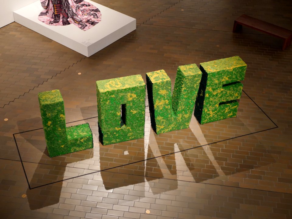 Grassy, Gallery, Love