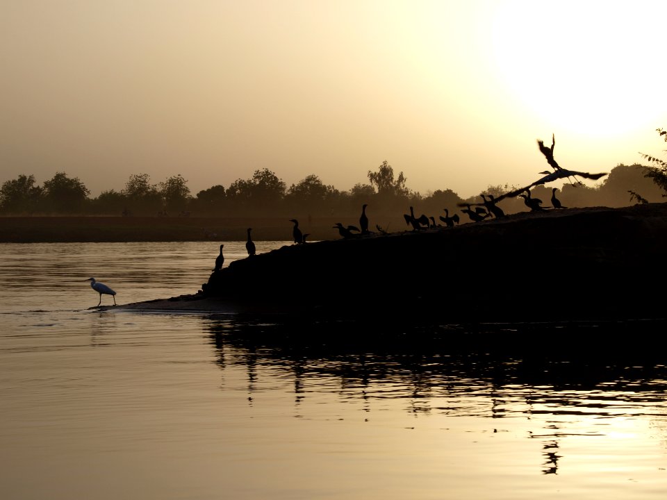 Niger, Niger river, Niamey