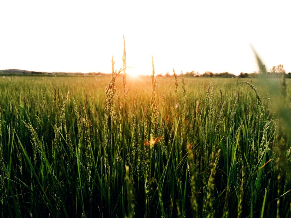 Wisconsin, Chetek, United states