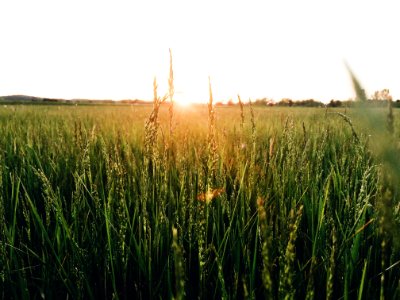 Wisconsin, Chetek, United states