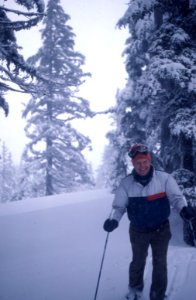 Snow, Winter, Skiing