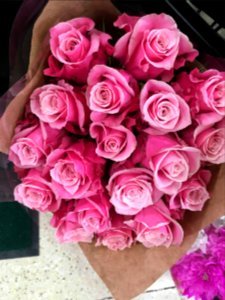 Pink roses, Flowers, Rose petal photo
