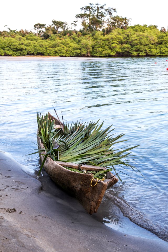 green and brown canoe on shore during daytime