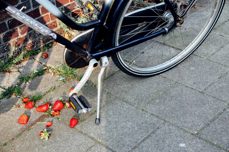 Amsterdam, Netherland, Street