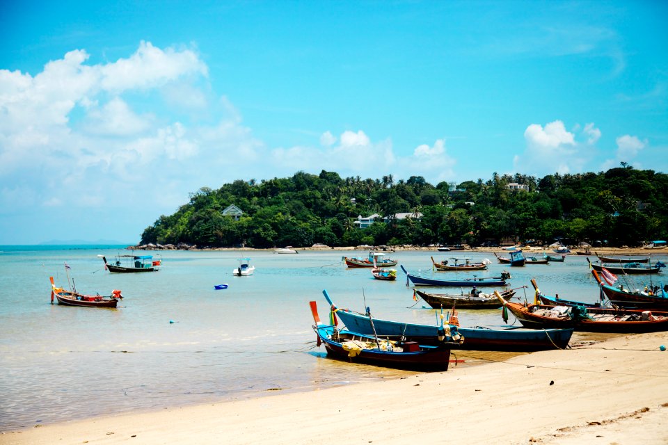 boats on shore during daytime
