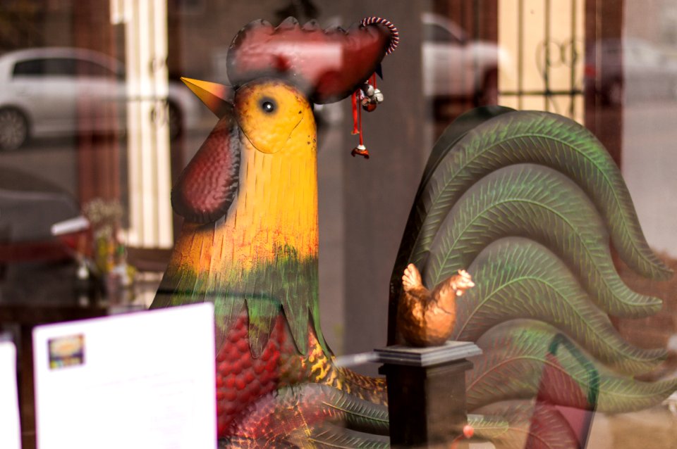 Globe az, Copper hen, Hen
