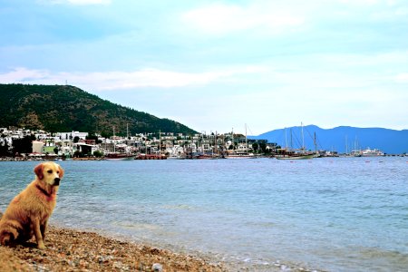 Bodrum, Turkey, Seashore